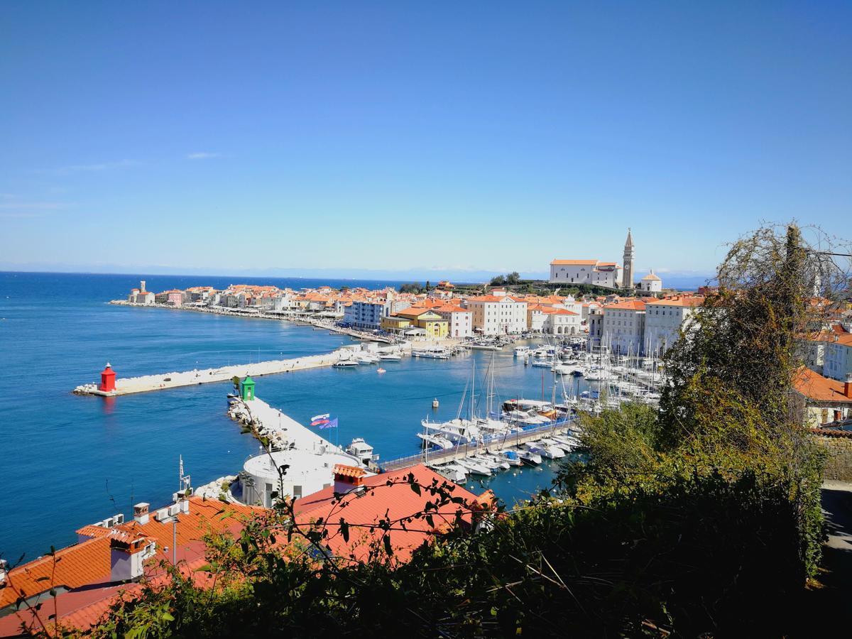 Apartma Punta Kim *