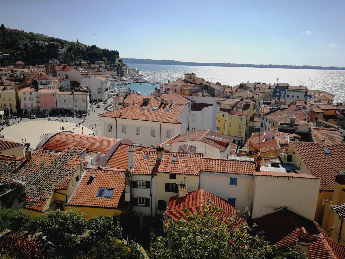 Apartma Punta Kim *